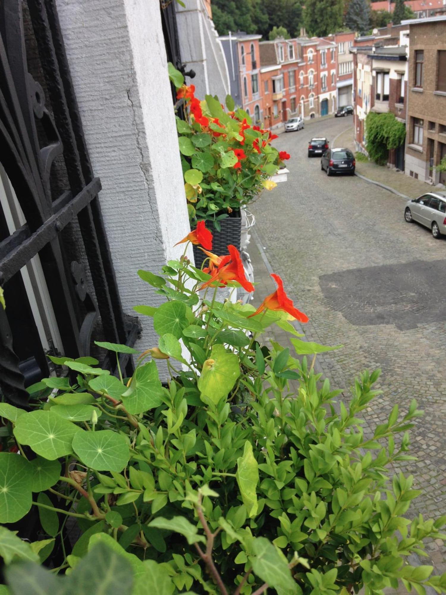 B&B Matin Tranquille Lieja Exterior foto